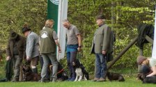 Hundepräsentation 2023